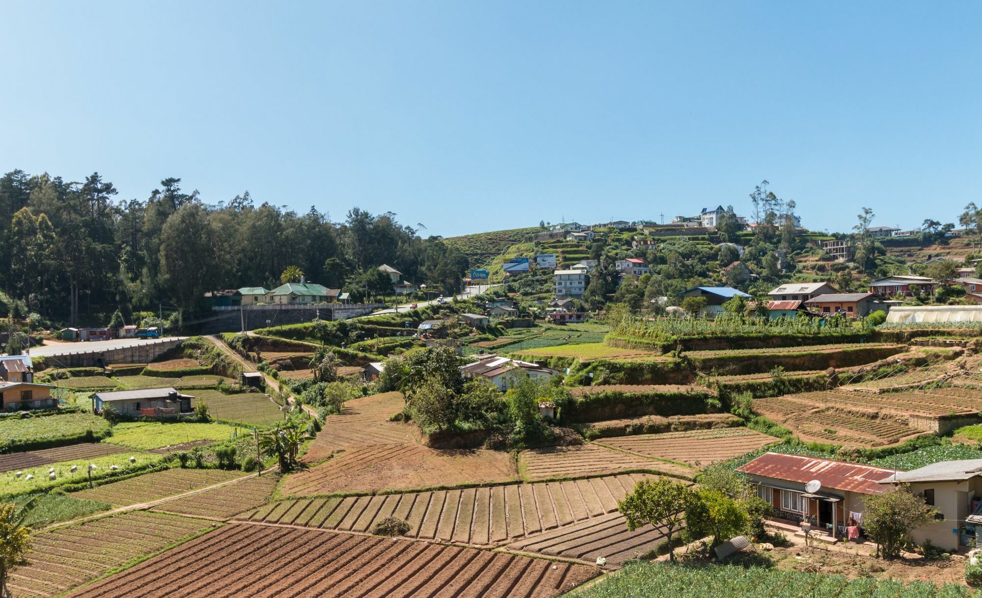 Aaradhya Villa Nuwara Eliya Esterno foto